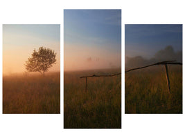 modern-3-piece-canvas-print-the-summer-field