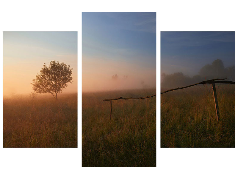 modern-3-piece-canvas-print-the-summer-field