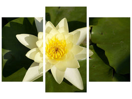 modern-3-piece-canvas-print-the-water-lily-in-yellow