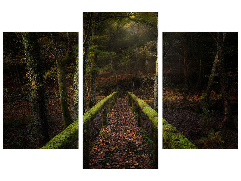 modern-3-piece-canvas-print-the-way-to-the-forest