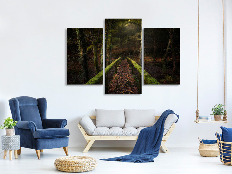 modern-3-piece-canvas-print-the-way-to-the-forest
