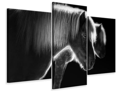 modern-3-piece-canvas-print-two-beautiful-horses