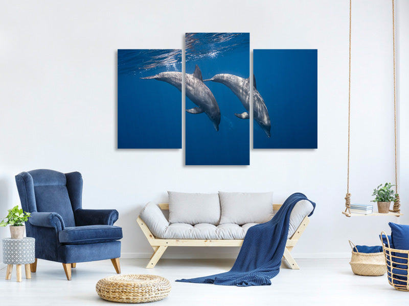 modern-3-piece-canvas-print-two-bottlenose-dolphins