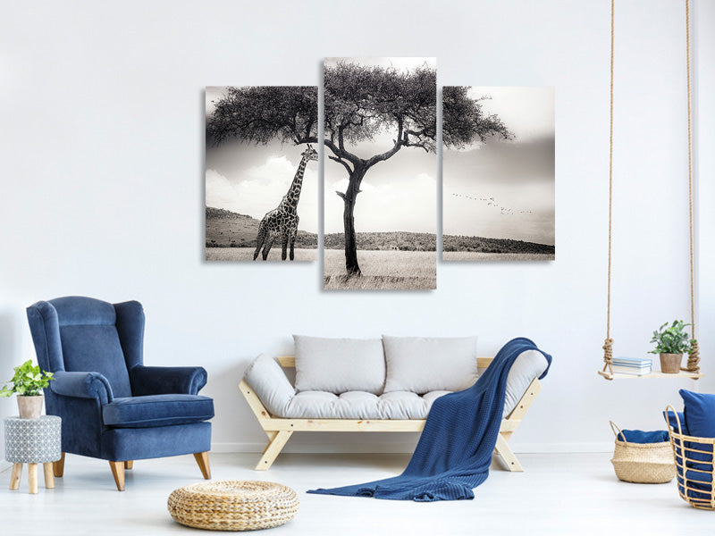 modern-3-piece-canvas-print-under-the-african-sun