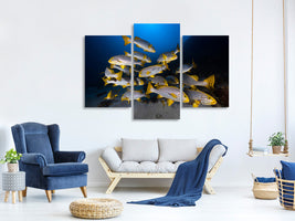 modern-3-piece-canvas-print-underwater-photography-indian-ocean-sweetlips