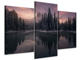 modern-3-piece-canvas-print-untitled-lxv