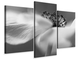 modern-3-piece-canvas-print-untitled-xv