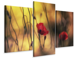 modern-3-piece-canvas-print-untitled-xvi-p