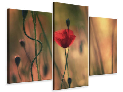 modern-3-piece-canvas-print-untitled-xxviii