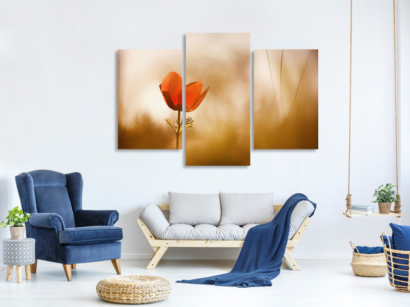 modern-3-piece-canvas-print-untitled-xxxi