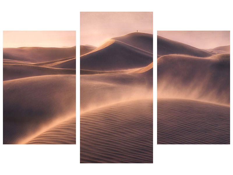 modern-3-piece-canvas-print-viento-de-arena