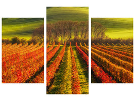 modern-3-piece-canvas-print-vine-growing