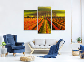 modern-3-piece-canvas-print-vine-growing