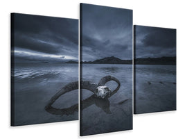 modern-3-piece-canvas-print-white-bone-beach