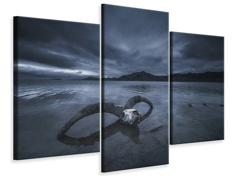 modern-3-piece-canvas-print-white-bone-beach