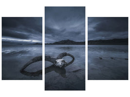 modern-3-piece-canvas-print-white-bone-beach