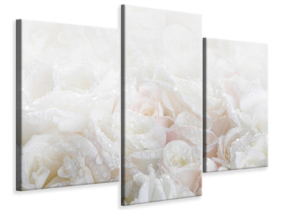 modern-3-piece-canvas-print-white-roses-in-the-morning-dew