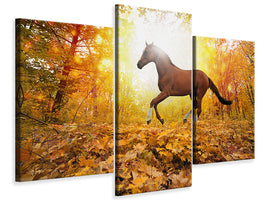 modern-3-piece-canvas-print-whole-blood-in-autumn-forest