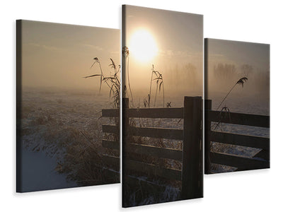 modern-3-piece-canvas-print-winter-mood