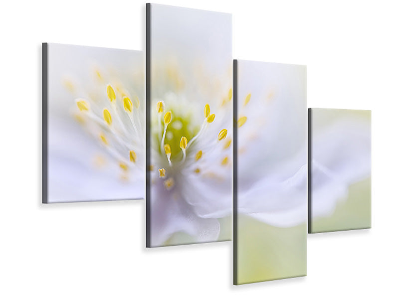 modern-4-piece-canvas-print-anemone-beauty