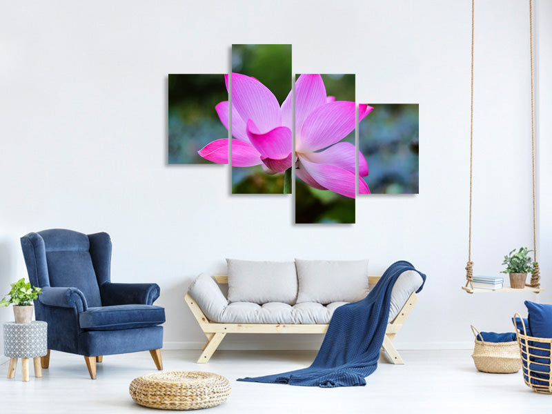 modern-4-piece-canvas-print-beautiful-lotus