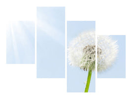 modern-4-piece-canvas-print-dandelion-in-sunbeam