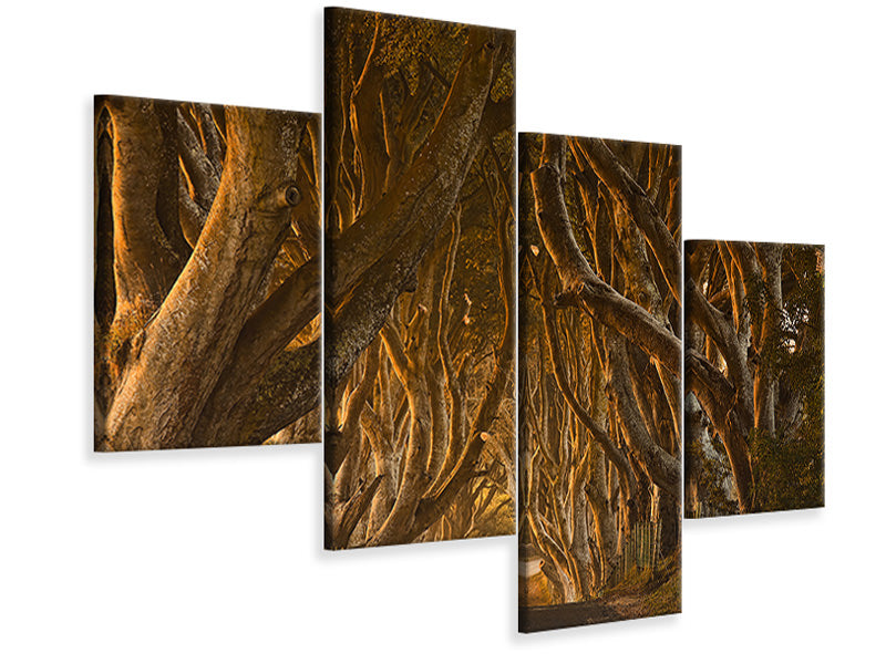 modern-4-piece-canvas-print-early-morning-dark-hedges