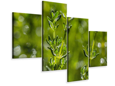 modern-4-piece-canvas-print-fresh-thyme