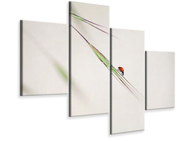 modern-4-piece-canvas-print-ladybug