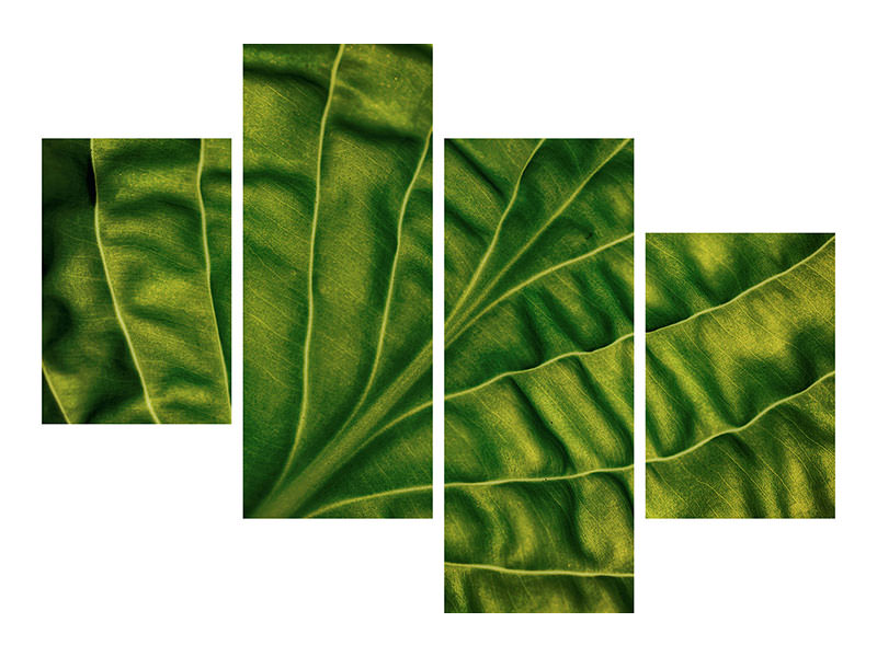 modern-4-piece-canvas-print-leaf-of-a-hosta