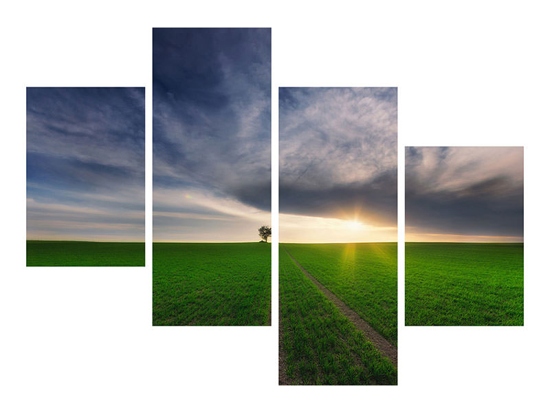 modern-4-piece-canvas-print-loner-in-the-sun