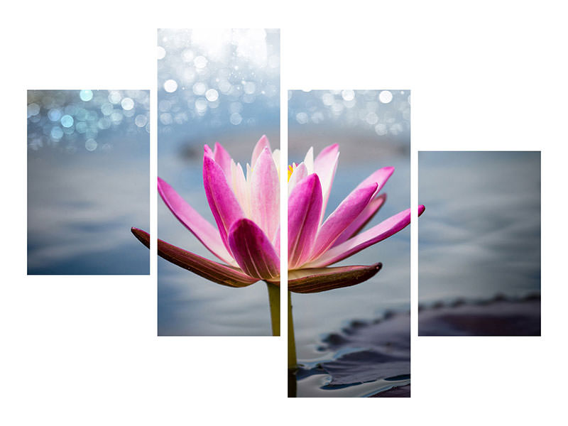 modern-4-piece-canvas-print-lotus-in-the-morning-dew