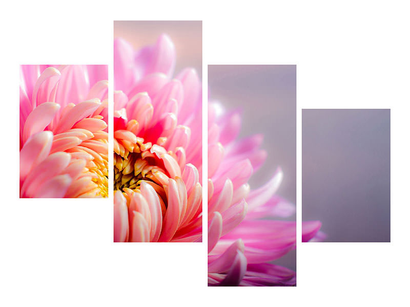 modern-4-piece-canvas-print-macro-chrysanthemum