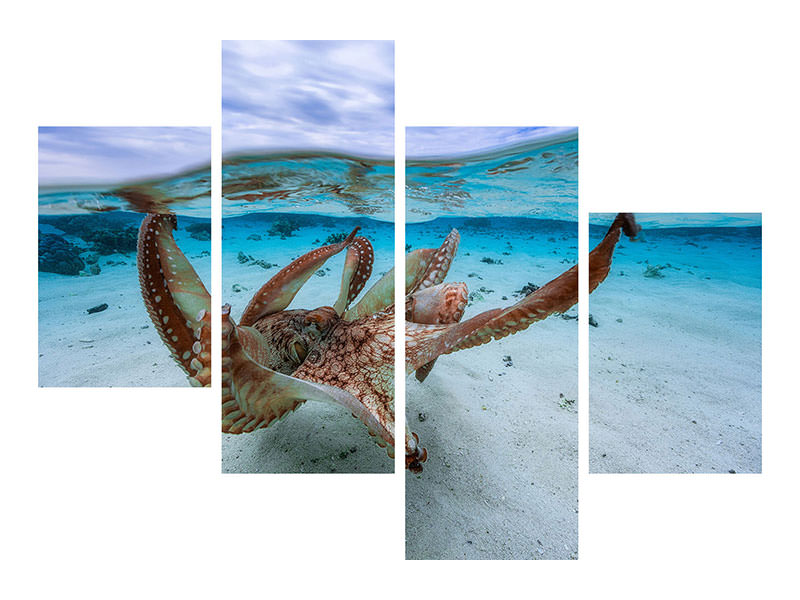 modern-4-piece-canvas-print-octopus-ii