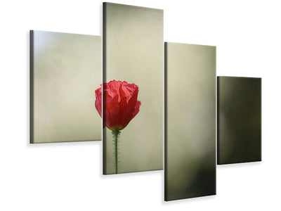 modern-4-piece-canvas-print-red-poppy