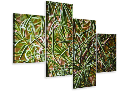 modern-4-piece-canvas-print-rosemary-xxl