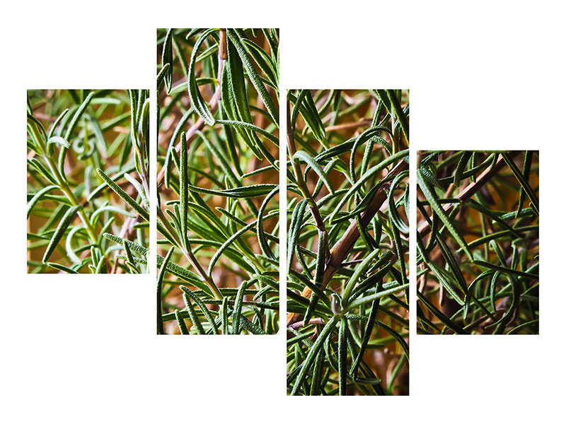 modern-4-piece-canvas-print-rosemary-xxl