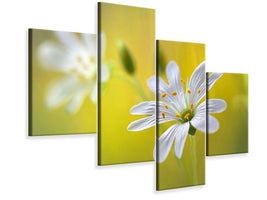 modern-4-piece-canvas-print-stitchwort-ii