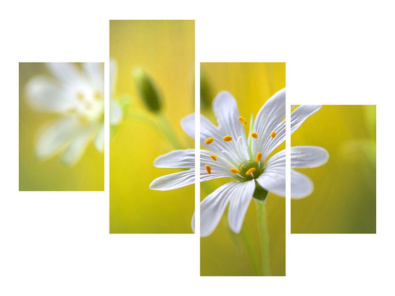 modern-4-piece-canvas-print-stitchwort-ii