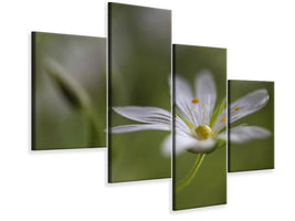 modern-4-piece-canvas-print-stitchwort