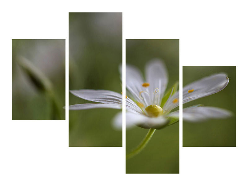 modern-4-piece-canvas-print-stitchwort