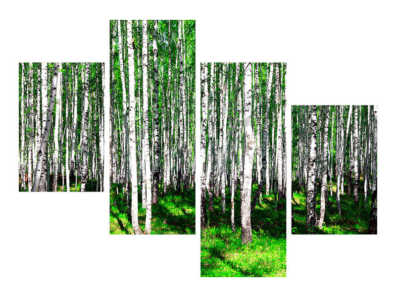 modern-4-piece-canvas-print-summerly-birch-forest