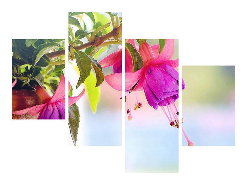 modern-4-piece-canvas-print-the-fuchsias