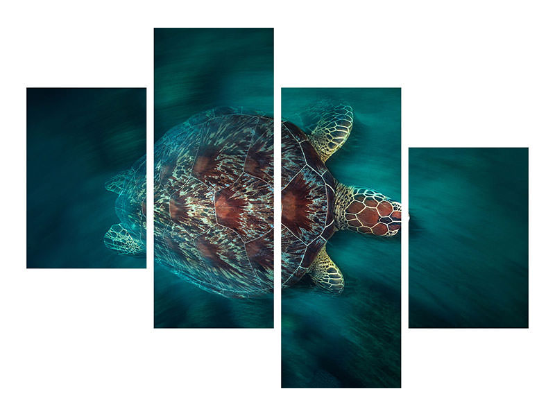 modern-4-piece-canvas-print-valocity-turtle