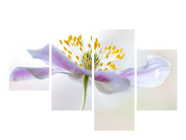 modern-4-piece-canvas-print-wood-anemone