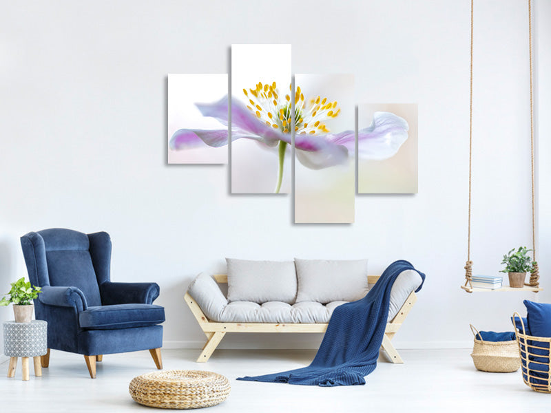 modern-4-piece-canvas-print-wood-anemone