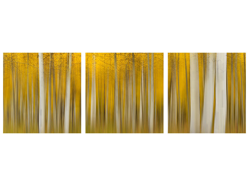 panoramic-3-piece-canvas-print-autumn-dream-ii