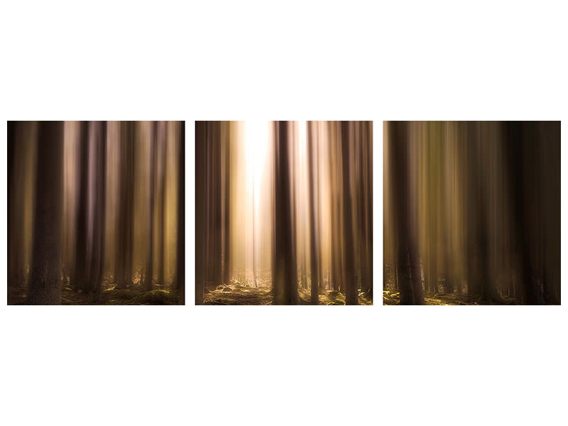 panoramic-3-piece-canvas-print-breath-of-life
