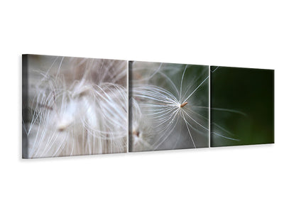 panoramic-3-piece-canvas-print-close-up-flowers-fibers