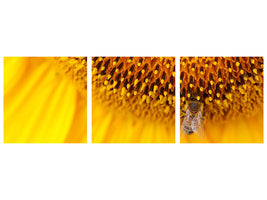 panoramic-3-piece-canvas-print-close-up-yellow-bud